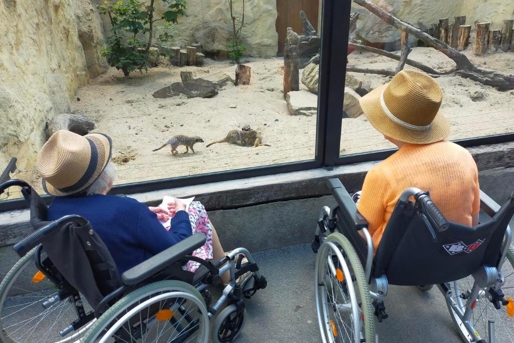 deux résidentes de l'ehpad au zoo de Lille